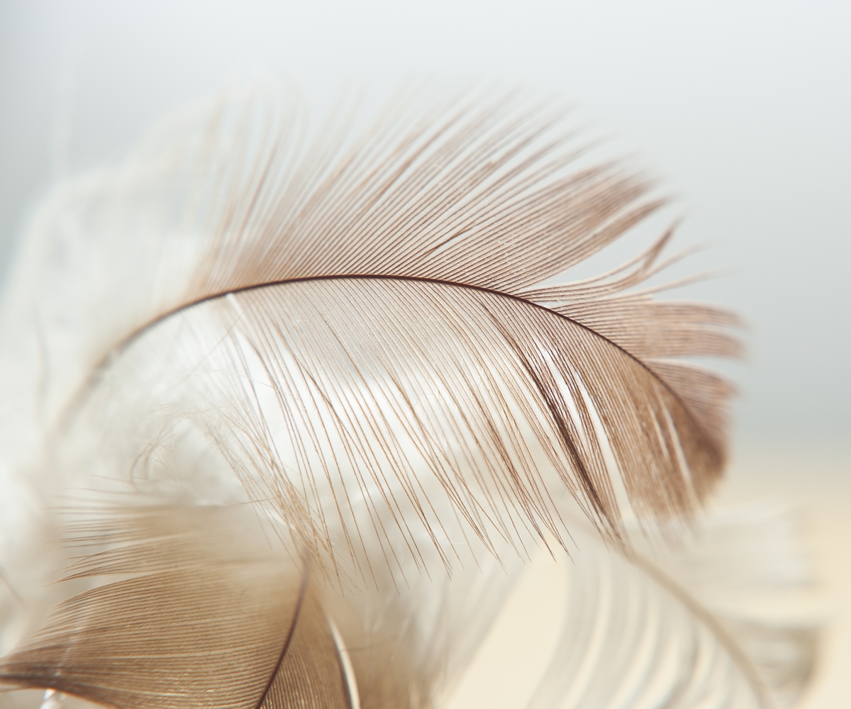 Seelen-Landschaft - Daniel Harant