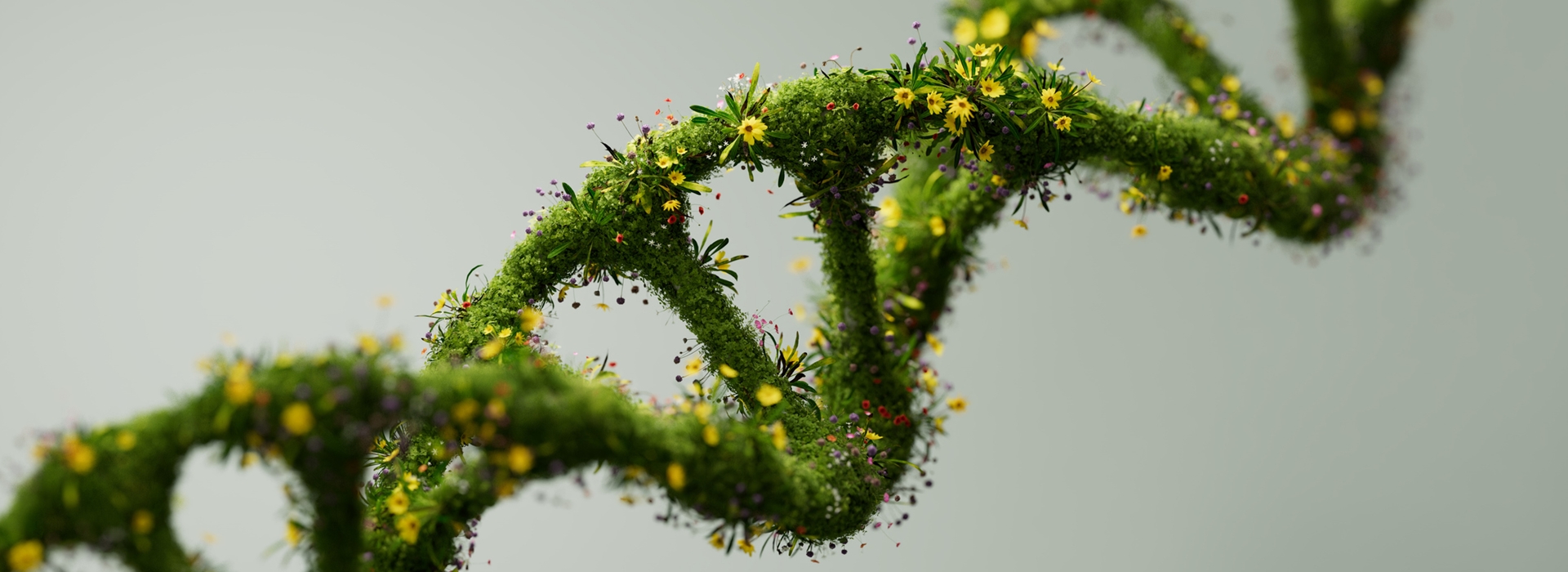 Seelenlandschaft - Daniel Harant