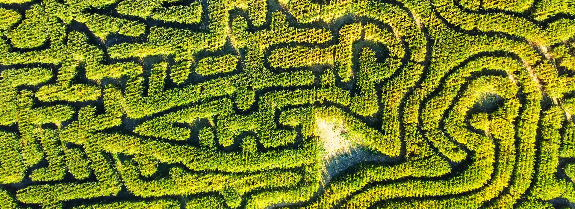 Seelenlandschaft - Daniel Harant