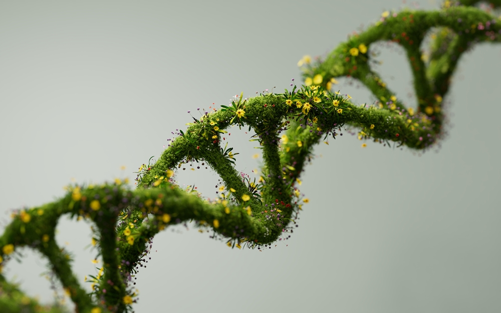 Seelen-Landschaft - Daniel Harant